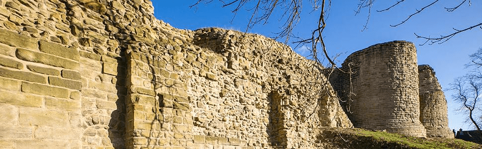 Pontefract Castle welcomes dogs onto their grounds