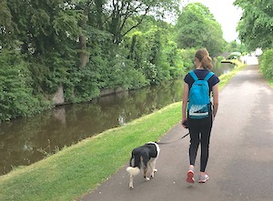 The Brecon Beacons are a great place to visit for dog friendly holidays